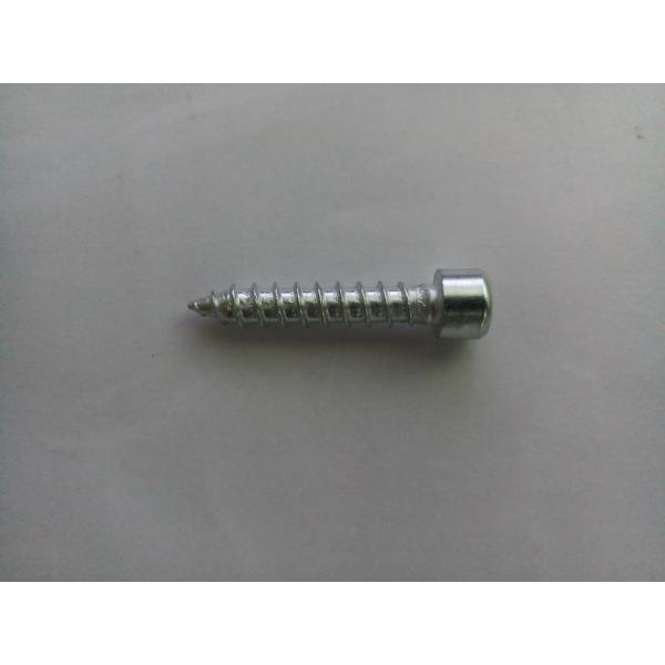 Hex Head Self Tapping Screws Socket Cup 6mm 8mm For Furniture Decoration