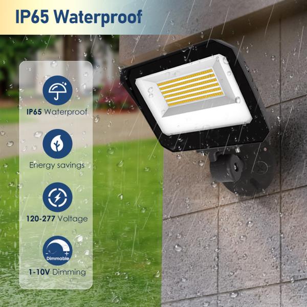 Garden 50W 100W 150W Led Flood Lights with 3Cct and SMD 2835 Light Source