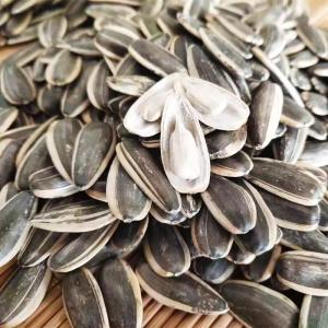 China 99.9% Purity Sunflower Seeds for Creating Delicious Snacks and Meeting Customer Needs wholesale
