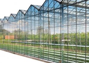 China Multi Layer Heat Insulating Glass For Greenhouse Solar Glass wholesale