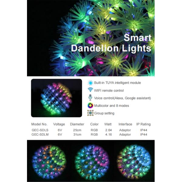 Smart Dandeline Lights
