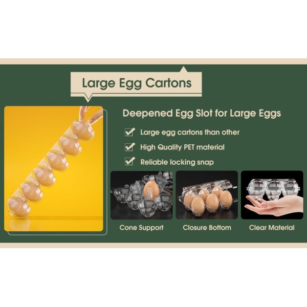 Clear Plastic Egg Cartons - Clear Containers With Date Labels - Bulk Egg Storage Set - Reusable Storage Containers - 12-Count, Pack Of 48
