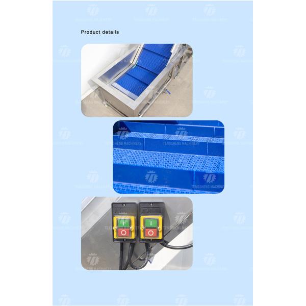 Electric Vegetable Orange Pre - Foam Elevator Machine