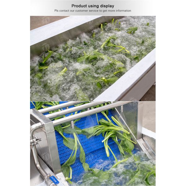 Watercress Bubble Generating Vegetable Fruit Cleaning Machine , Apricot Commercial Vegetable Washer