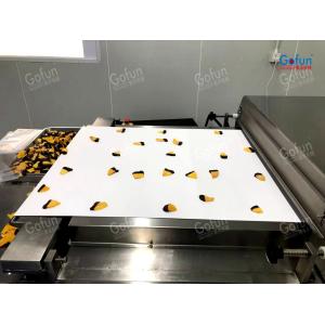 Dried Vegetable Processing Production Line Energy-saving Environmentally