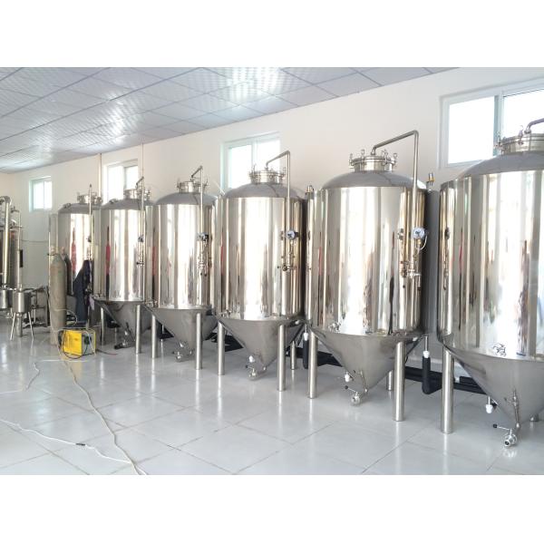 500L Mini beer brewing equipment with electricity heating source brewpub or restaurant