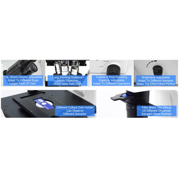 Optical Laboratory Inverted Microscope