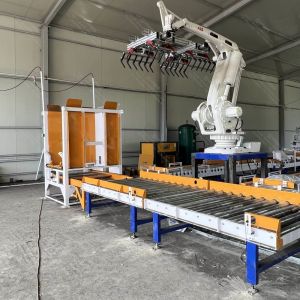 Boxes Bags Cartons Robotic Case Packer And Palletiser