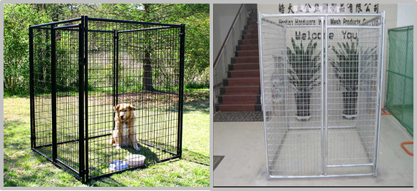 Safety Welded Wire Metal Dog Kennel Anti Rust Multiple Sizes 8'L*8'W*6'H