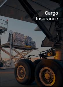 China International Cargo Insurance Service  timely Security protocols wholesale