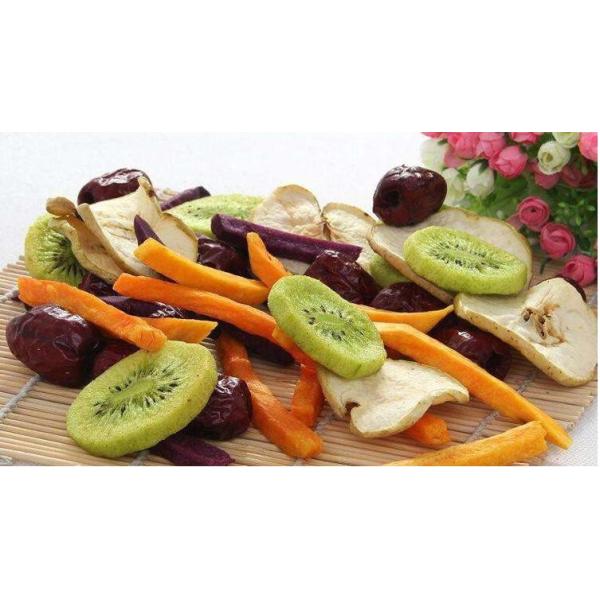 Mini Automatic Freeze Dryer 834x700x1300mm Stable Reliable Performance