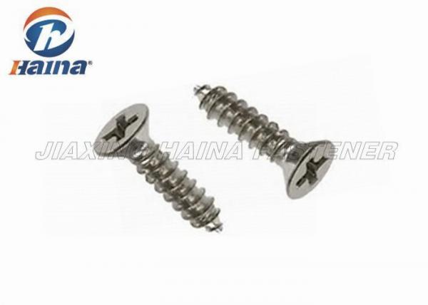Quality Metric Thread Standard Size Stainless Steel Slotted Self Tapping Screws for sale