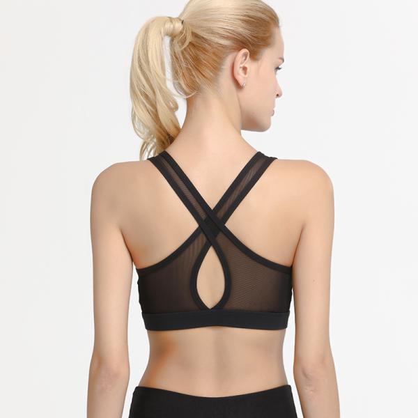 1 Pcs Custom Private Logo Printing 5 Style Collection Link 15 Colors Total Nylon Sports Bra