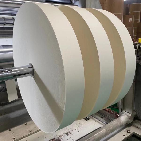 High Stiffness PE Coated Paper Cup Bottom Roll for Eco-friendly Paper Cup
