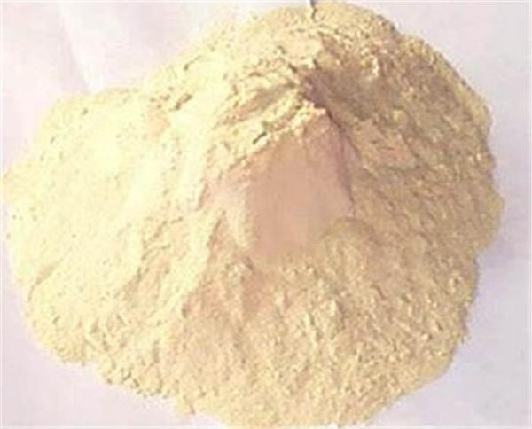 Quality Natural Wheat Smell Wheat Gluten Protein Powder for Feed in 25kg bag for sale