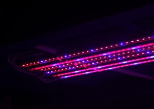 China Waterproof Led Grow Bar , Led Grow Lamps Integrated Structure Red And Blue Spectrum wholesale