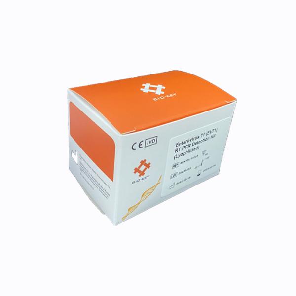 Fast NAT Amplification Detection Enterovirus 71 EV71 RT PCR Test Kit Lyophilized