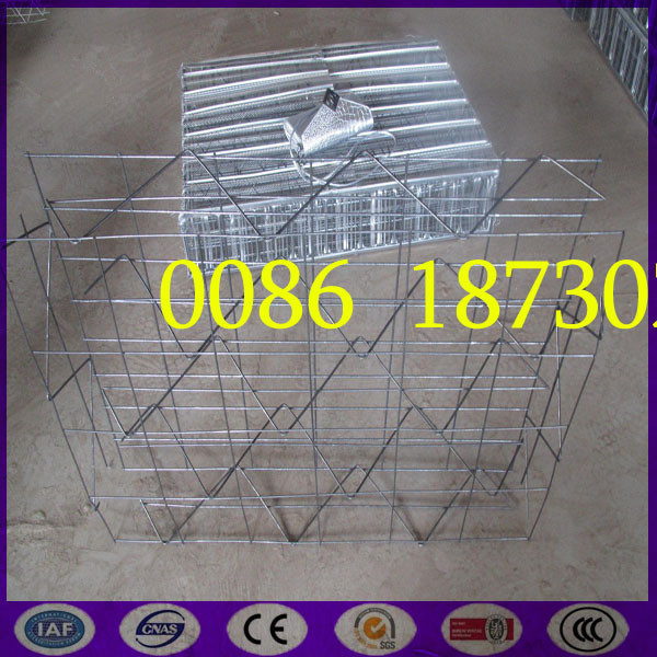 Three Dimension Prefabricated Polystyrene Panels with Welded Wire Mesh