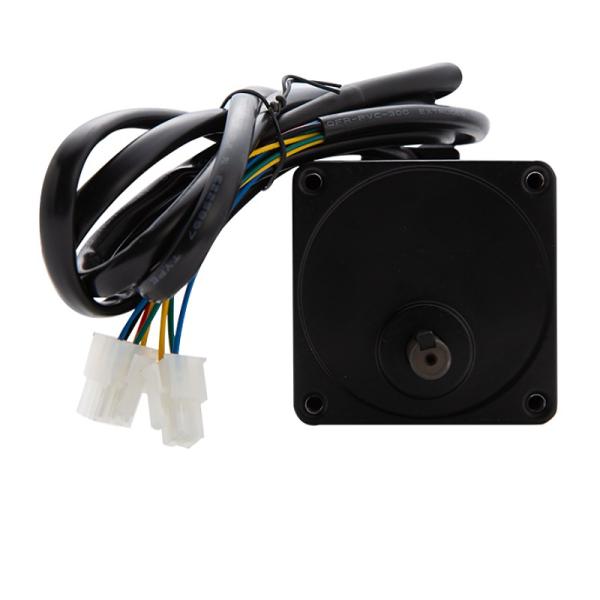 3NM Low Voltage 3000RPM 3 Phase Servo Motor With Gearbox