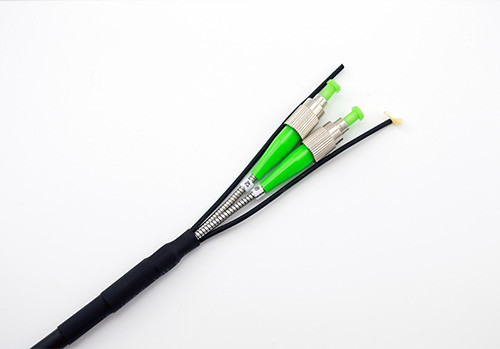 FC/UPC FC/APC BBU/RRU CPRI Base Station Armored Patch Cord 2 Core With Pulling Eyes