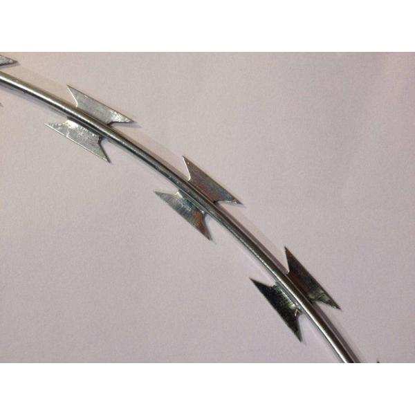 Hot-Dipped Galvanized Razor Barbed Wire with BTO-11 BTO-22 / Bazor Barbed