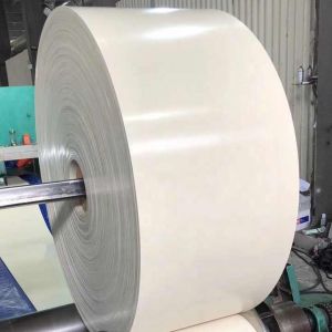 NN100 NN150 NN200 White Rubber Conveyor Belt with Wide Bandwidth for Versatile