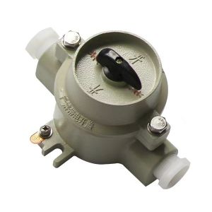 China 2 Pole Explosion Proof Toggle Switch 10A With IP65 Protection For Hazardous Area wholesale