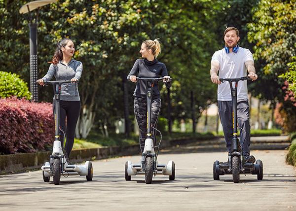 Quality 30km L1600mm E Fold Mobility Scooter for Unisex for sale