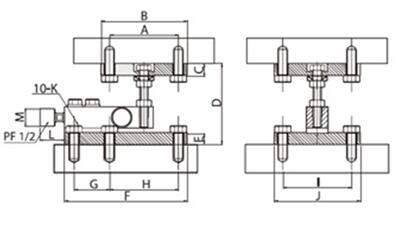 CAS BSS Load Cell Module