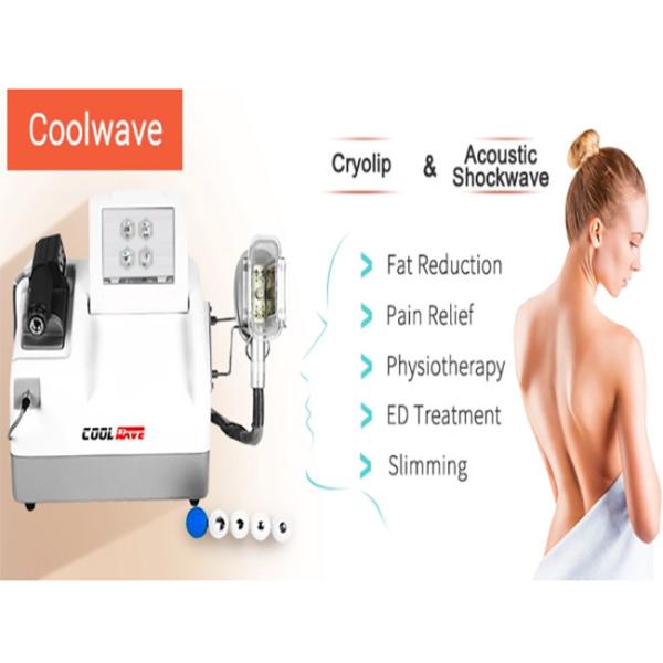 1 Cryo Handle Shockwave Portable Cryolipolysis Slimming Machine