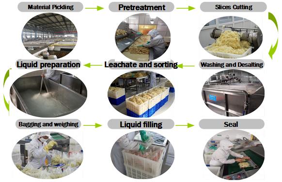 production line HACCP Certificate Appetizer Sushi Pickled Ginger Antibacterial