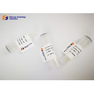 China PDK1 Rabbit Polyclonal Antibodies 20ul / 50ul / 100ul Size Available wholesale