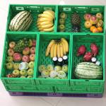 Foldable Mesh Crates For Vegetable Collapsible Plastic Shipping Crates