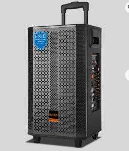 China Big Power Wireless Outdoor Portable Speaker 1000W Active Karaoke Trolley Speaker Box wholesale