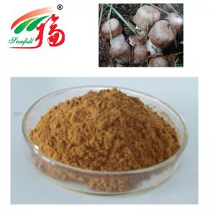 China Agaricus Blazei Extract 20% Polysaccharides For Functional Food on sale