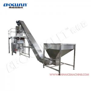 China Video Outgoing-Inspection Provided Fully Automatic Ice Tube Packing Machine 200g-20kg on sale