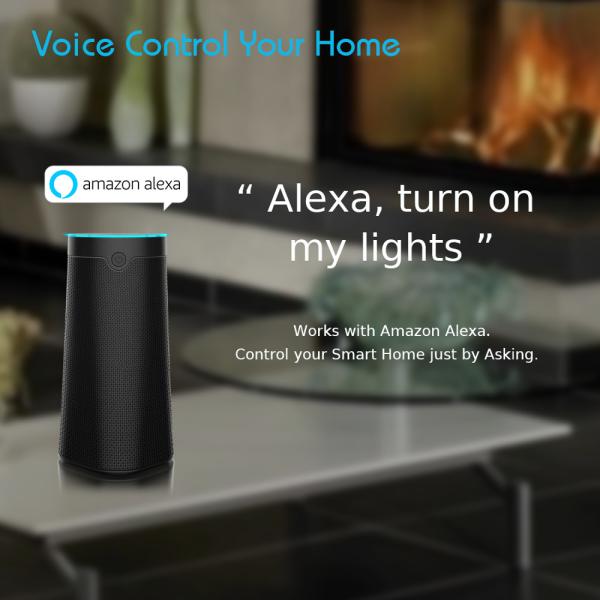 Custom Logo Smart WIFI Speaker Google Assistant With Built In 18650 Lithium