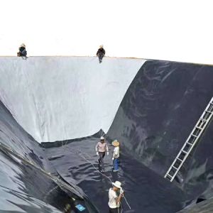 China HDPE Waterproof Geomembrane Soil Stabilization Geocell Grid for Dam Landfill Lake Pond wholesale