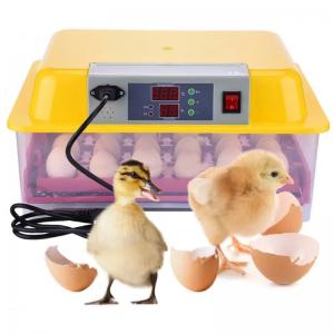 China Equipped 24 Mini Turntable Automatic Incubators For Chicken And Bird Egg Care wholesale