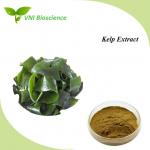 China Laminaria Plant Herbal Extract Kosher Polysaccharides Kelp Extract for sale