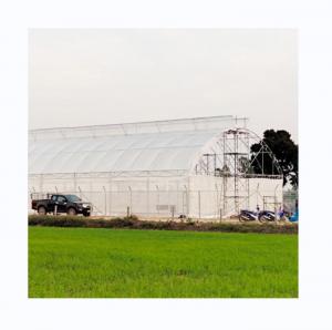 China 200 micron UV Protection PE Film Single Tunnel Greenhouse For Tomato and Cucumber Growth on sale