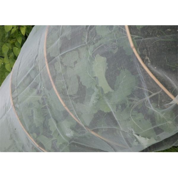 Greenhouse Netting Anti Fly Insect Net For Vegetable Gardens