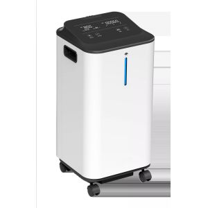 Portable Medical PSA Oxygen Concentrator Portable O2 Generator 5 Liter