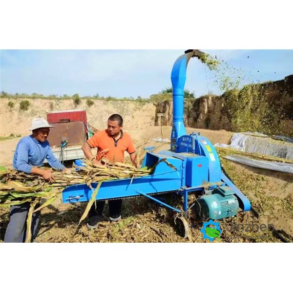 small Chaff Straw Crusher Poultry Animal Cattle Feed Grass Shredder Silage Chopper Fodder Forage Hay Chaff Cutter