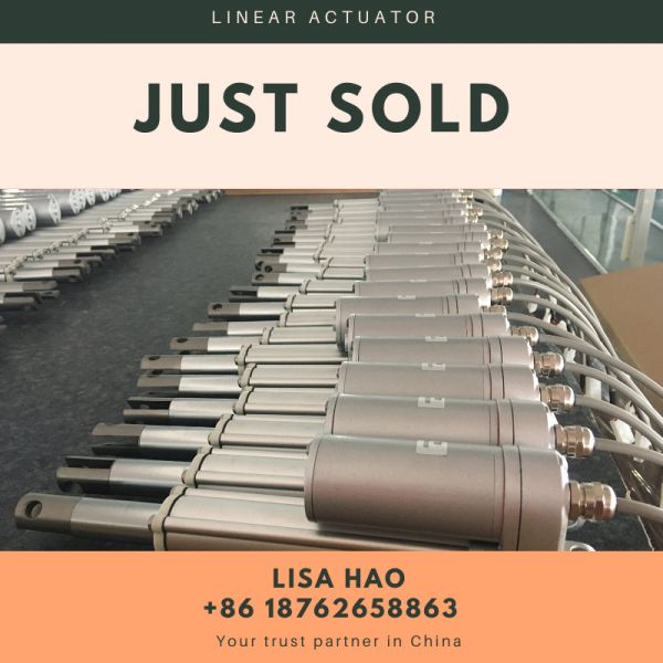 24 Volt Brushed Dc Motor Compact Linear Actuator Mini Electric Piston Sus304 Rod