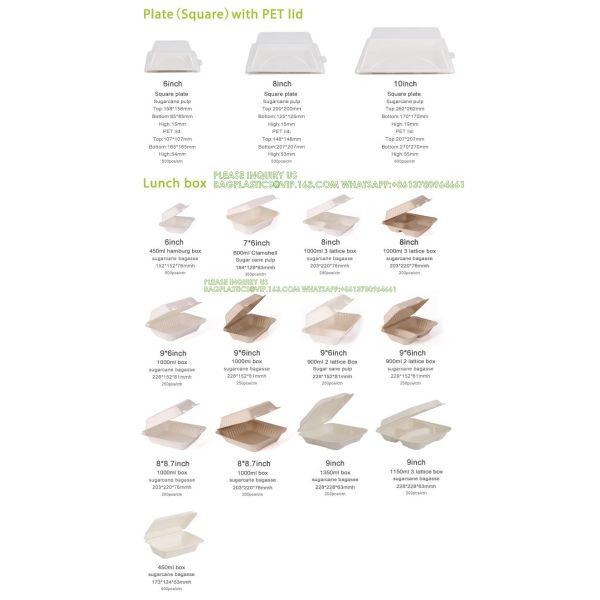 Sugarcane Pulp Clamshell Bagasse Takeout Bento Lunch Box Food Container For Hamburger