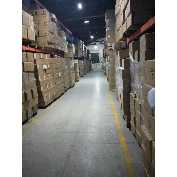 Egg Shaped Tumbler Cup 12oz Double Wall Insulated Stainless Steel with Lid