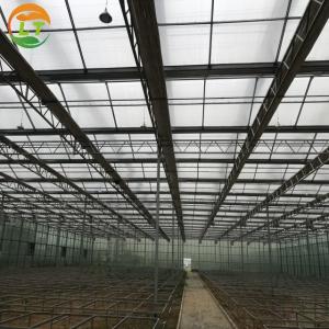 China Greenhouse Multi Span Agriculture Polycarbonate Greenhouse for Optimal Air Flow on sale
