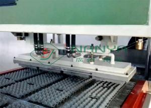 China Pulp Molding Paper Egg Carton Machine , Automatic Egg Trays Production Line wholesale