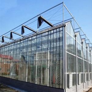 China Cooling Pad Commercial Glasshouse Window Galvanized Steel Greenhouse wholesale